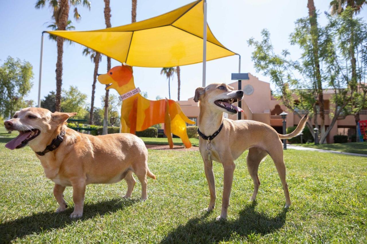 Resort The Westin Golf & Rancho Mirage